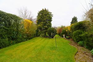 Photo 9- click for photo gallery